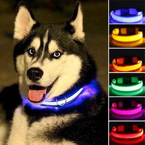 LED Light Puppy Dog Cats Collars  Night Safety Flashing  Luminous Adjustable Collar Harnesses Pet Dog Supplies