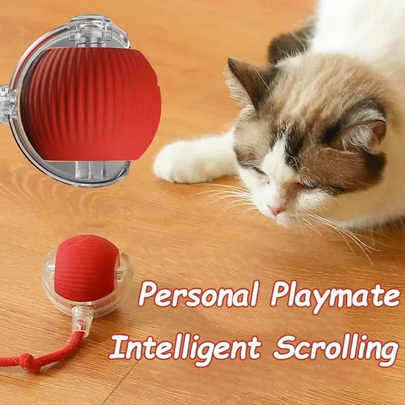 Interactive Rolling Cat Ball, Dog Toys Indoor, 360° Smart Automatic Rolling Ball Faux Tail Rechargeable Electric Pet Toy Teaser