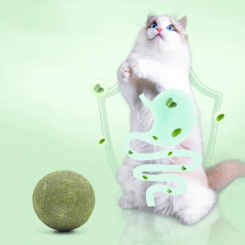 Super Large Catnip Ball 10cm Cat Grass Self-Hi Relieving Stuffy Insect Gall Fruit Giant Pet Bite Molar Wholesale Pet Cat Toy