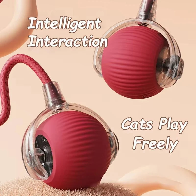 Interactive Rolling Cat Ball, Dog Toys Indoor, 360° Smart Automatic Rolling Ball Faux Tail Rechargeable Electric Pet Toy Teaser