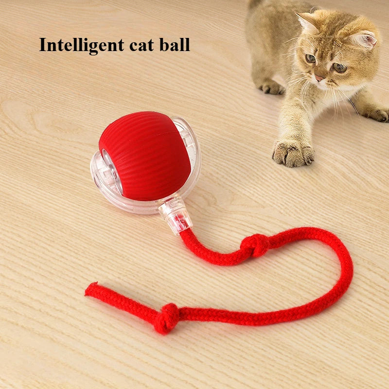 New Electric Dog Ball Toy For Cats Accessories Simulated Tail Cats Toys Interactive Things for Cats dog Pet Products Supplies