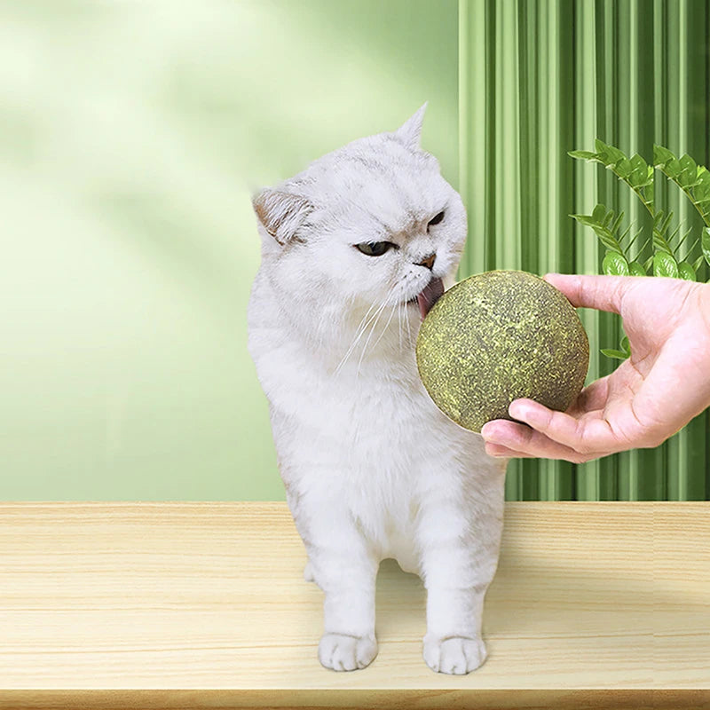 Super Large Catnip Ball 10cm Cat Grass Self-Hi Relieving Stuffy Insect Gall Fruit Giant Pet Bite Molar Wholesale Pet Cat Toy