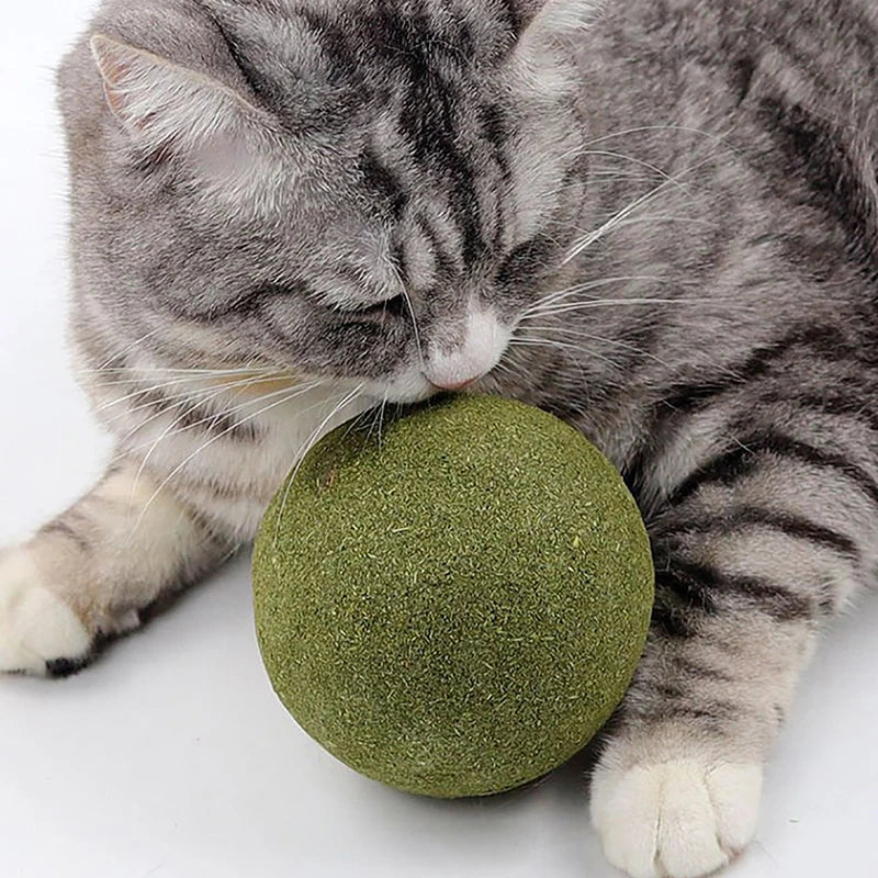 Super Large Catnip Ball 10cm Cat Grass Self-Hi Relieving Stuffy Insect Gall Fruit Giant Pet Bite Molar Wholesale Pet Cat Toy