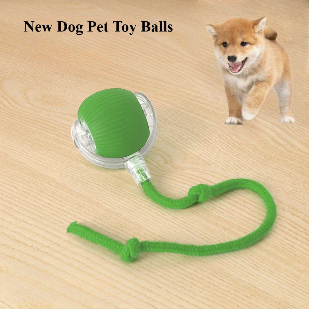 New Electric Dog Ball Toy For Cats Accessories Simulated Tail Cats Toys Interactive Things for Cats dog Pet Products Supplies