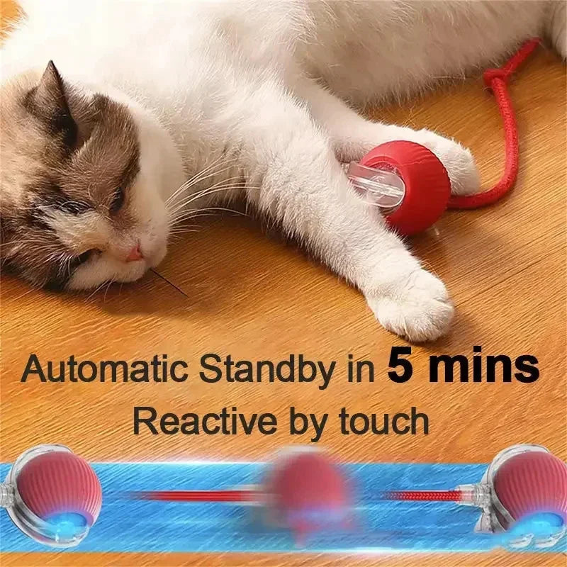 New Electric Dog Ball Toy For Cats Accessories Simulated Tail Cats Toys Interactive Things for Cats dog Pet Products Supplies